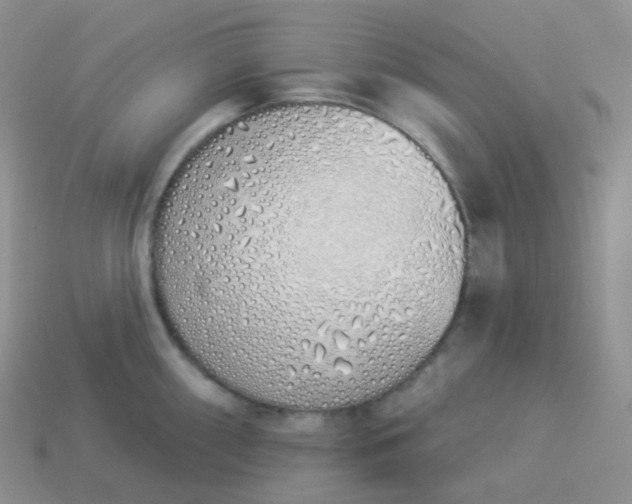 X0000114031098200910161814