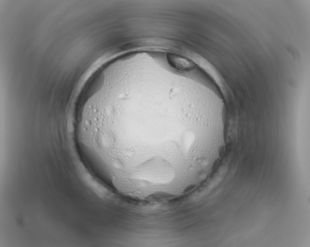 X0000114031099200910161814