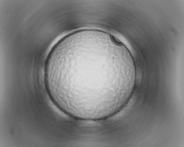 X0000114031100200910161814