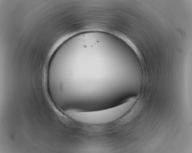 X0000114031101200910161814