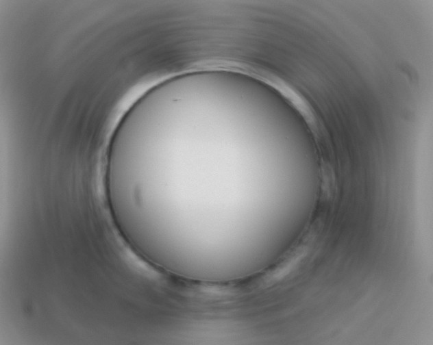 X0000114031102200910161814