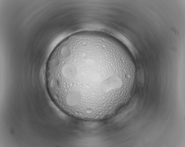 X0000114031103200910161814