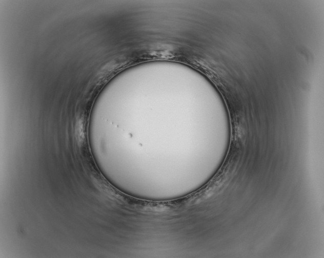 X0000114031106200910161813