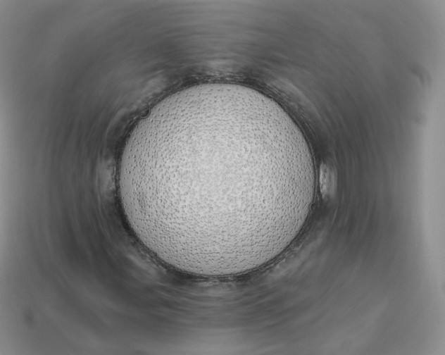 X0000114031107200910161813