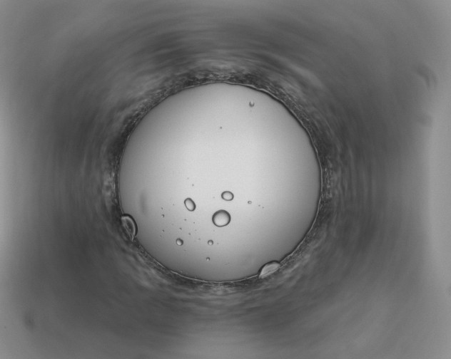 X0000114031109200910161813