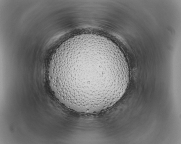 X0000114031111200910161813