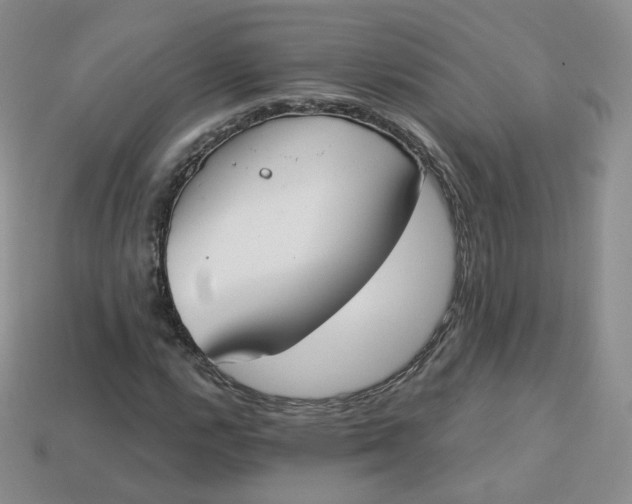 X0000114031112200910161813