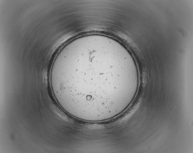 X0000114031113200910161813