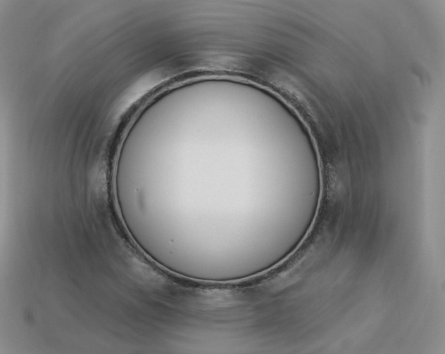 X0000114031114200910161813