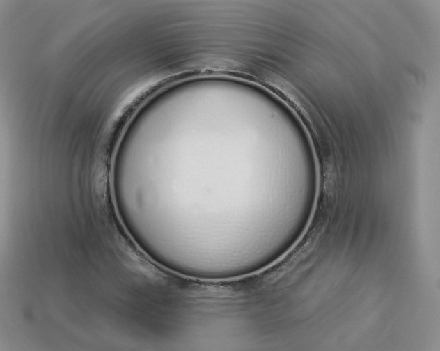 X0000114031115200910161813