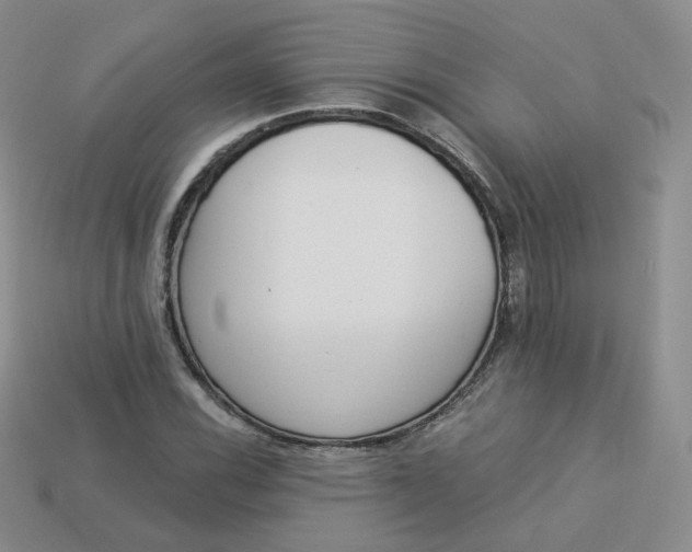 X0000114031116200910161813