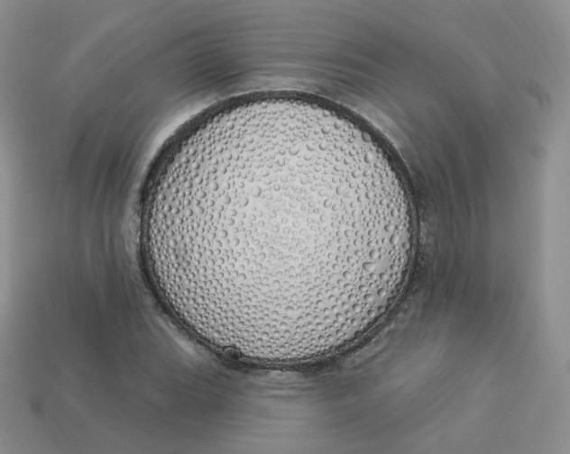 X0000114031119200910161813