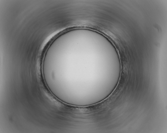 X0000114031120200910161813