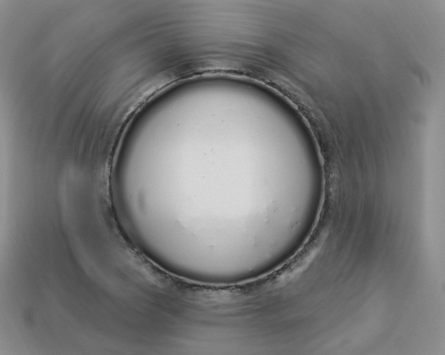 X0000114031121200910161813