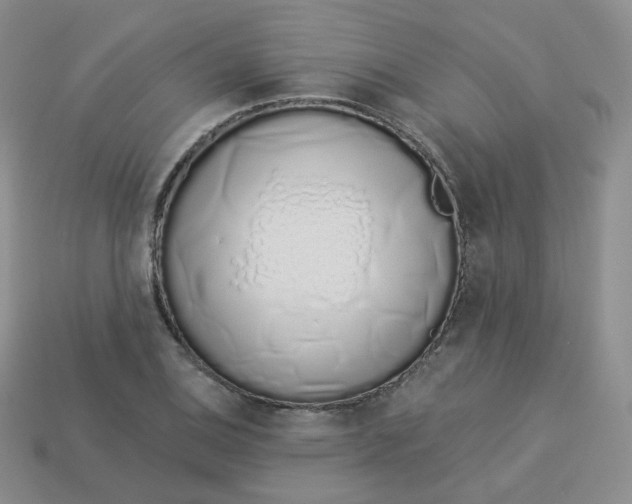 X0000114031124200910161813