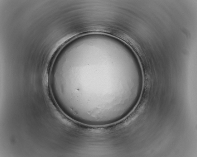 X0000114031125200910161813