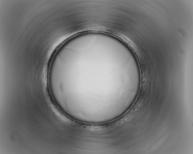 X0000114031128200910161813