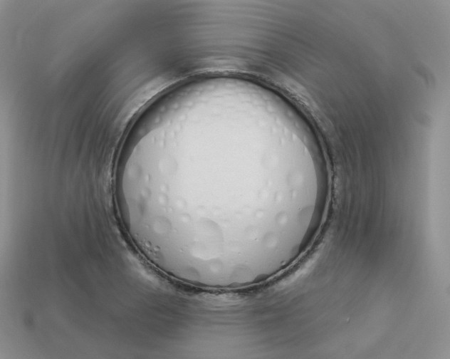 X0000114031129200910161813