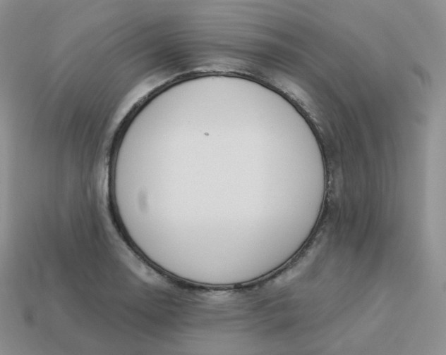 X0000114031130200910161813