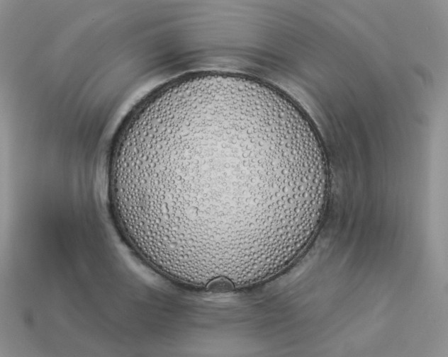 X0000114031131200910161813