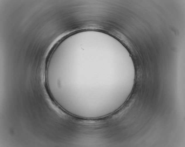 X0000114031132200910161813