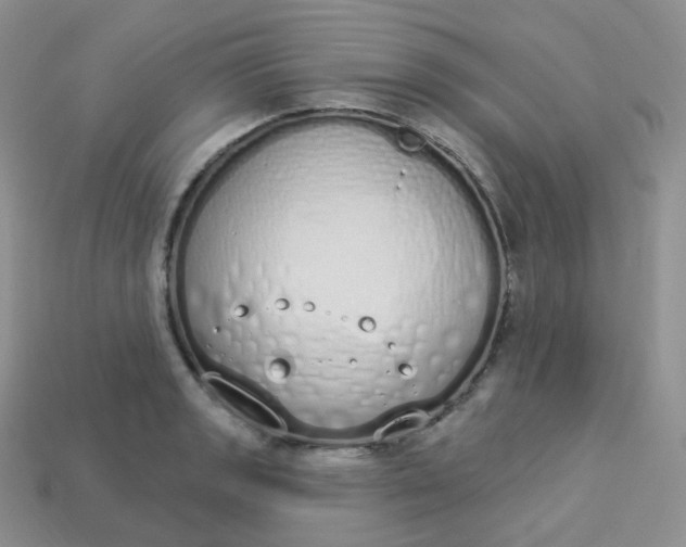 X0000114031133200910161813