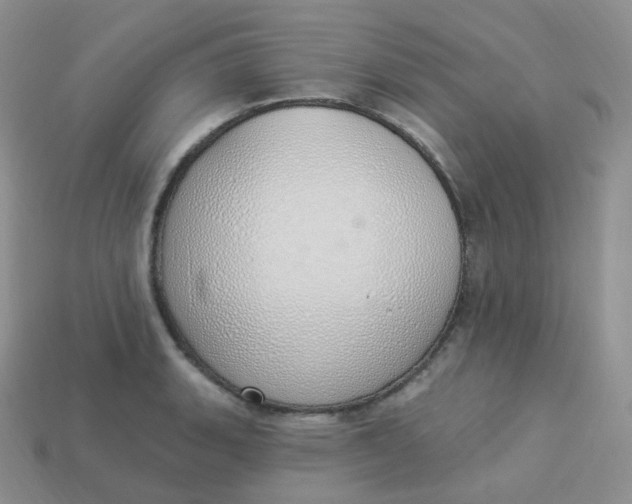 X0000114031135200910161813