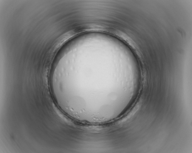 X0000114031137200910161814