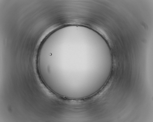 X0000114031138200910161814