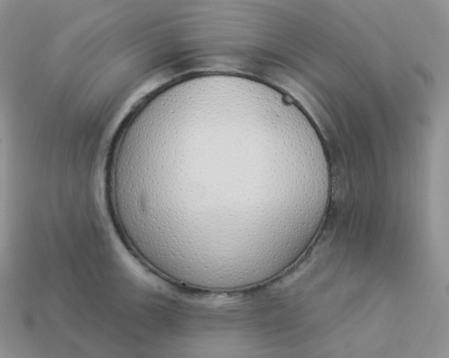 X0000114031139200910161814