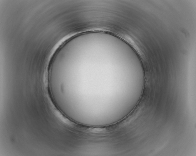 X0000114031140200910161814