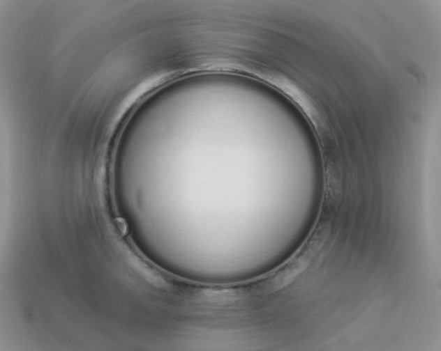 X0000114031142200910161814