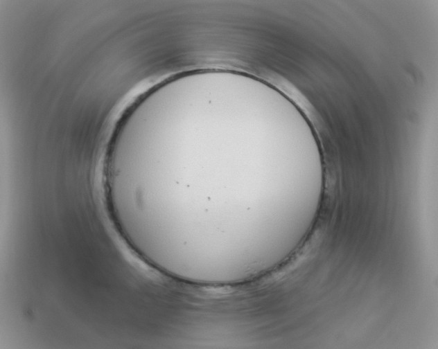 X0000114031144200910161814