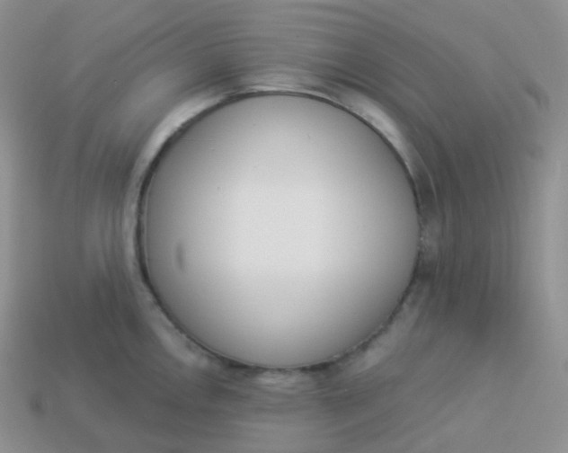 X0000114031146200910161814