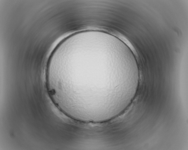 X0000114031148200910161814