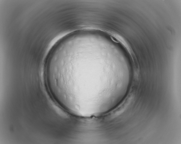 X0000114031149200910161814