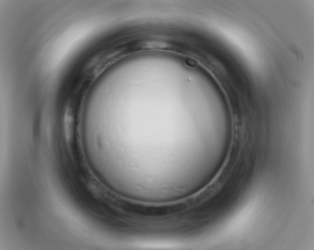 X0000114031151200910161814