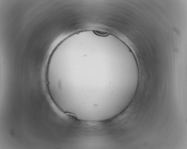 X0000114031152200910161814