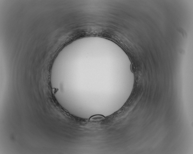 X0000114031153200910161813