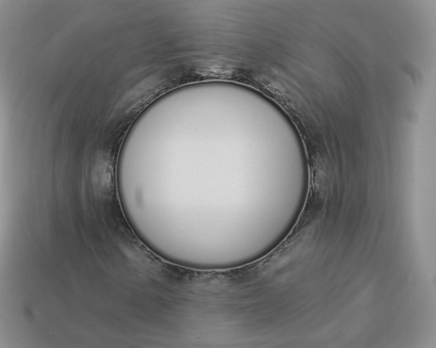 X0000114031154200910161813