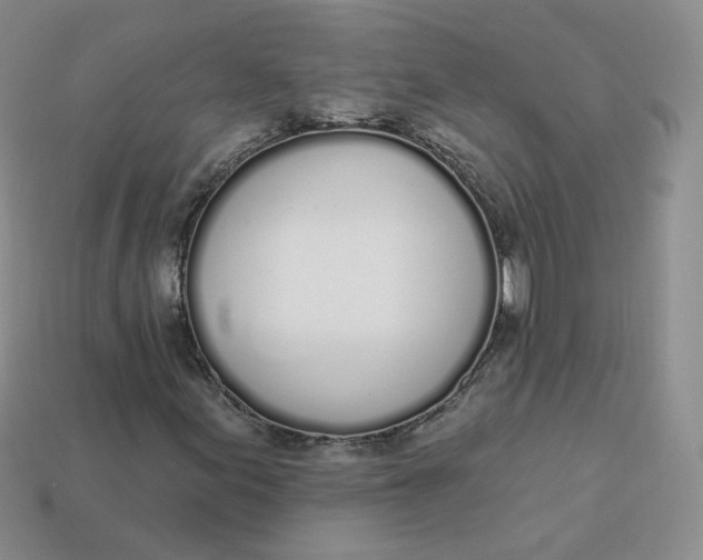 X0000114031155200910161813