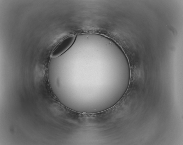 X0000114031157200910161813