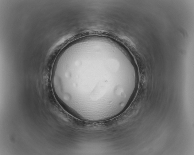 X0000114031159200910161813