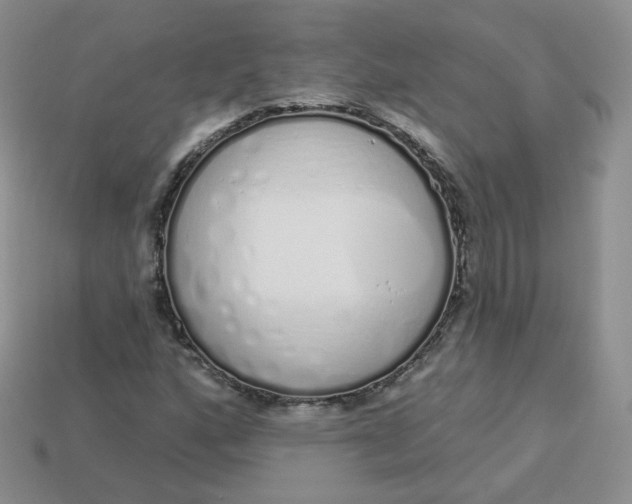 X0000114031160200910161813