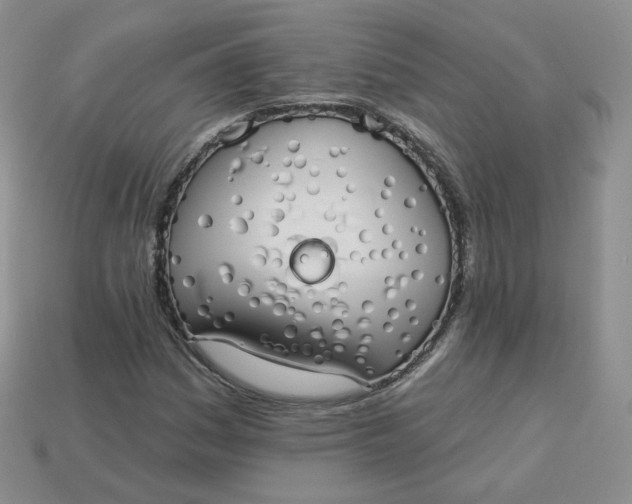 X0000114031161200910161813