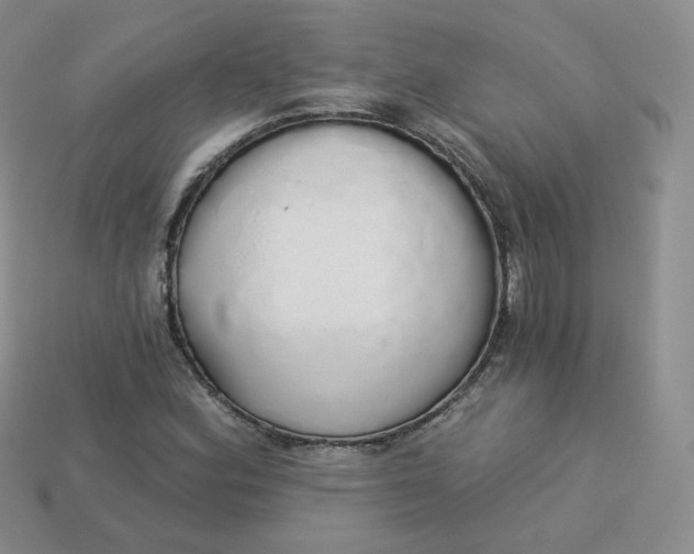 X0000114031164200910161813