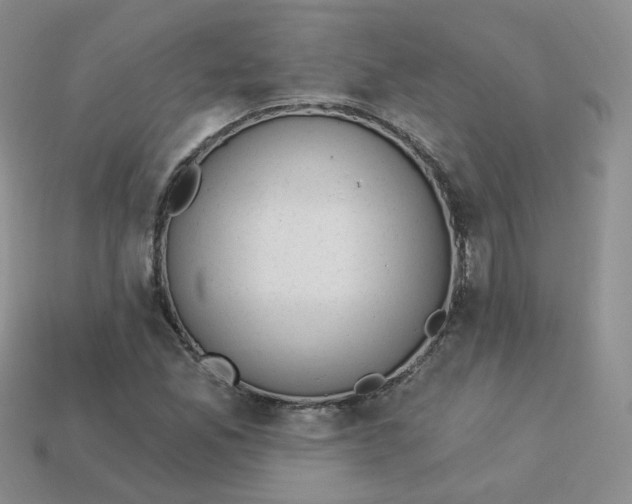 X0000114031165200910161813