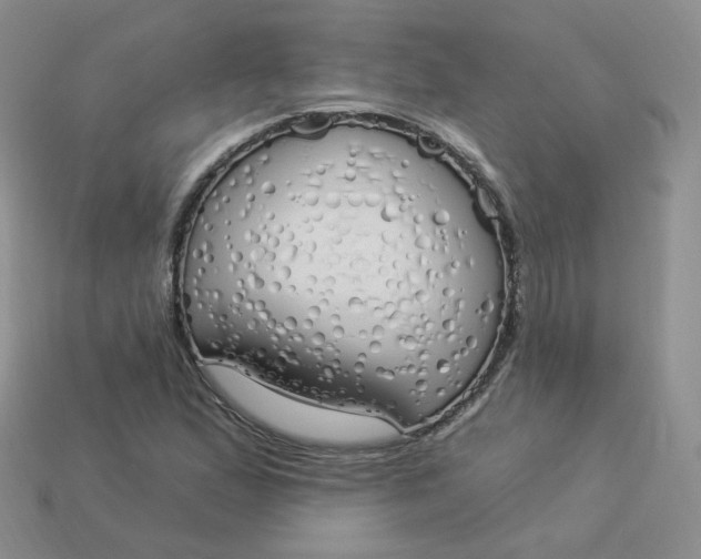 X0000114031167200910161813