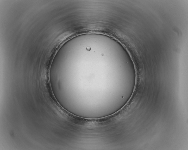 X0000114031169200910161813