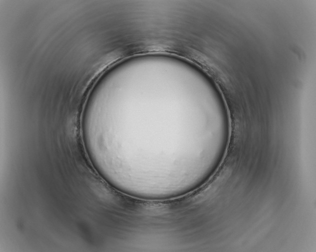 X0000114031170200910161813